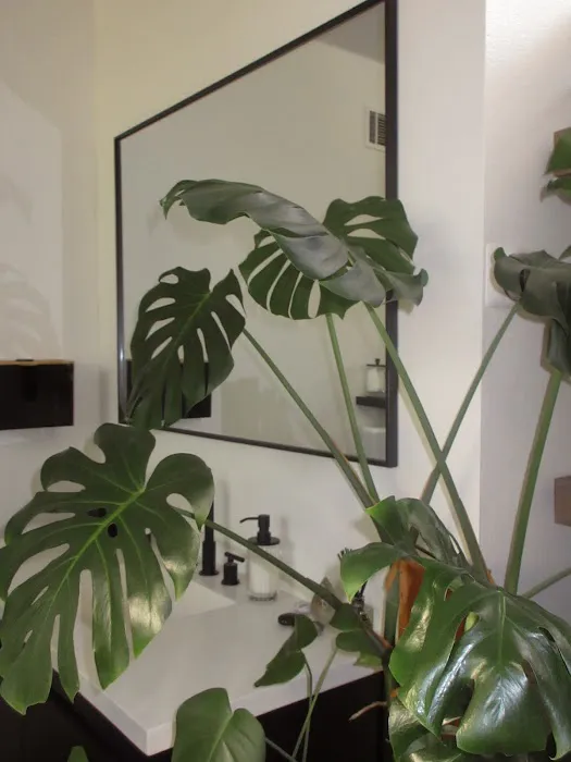 AKÓ AESTHETICS Picture 5