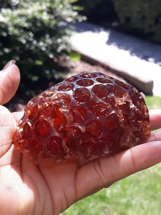 Crowned Since Picture 9