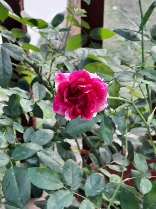 Mary Stella Studio Picture 5