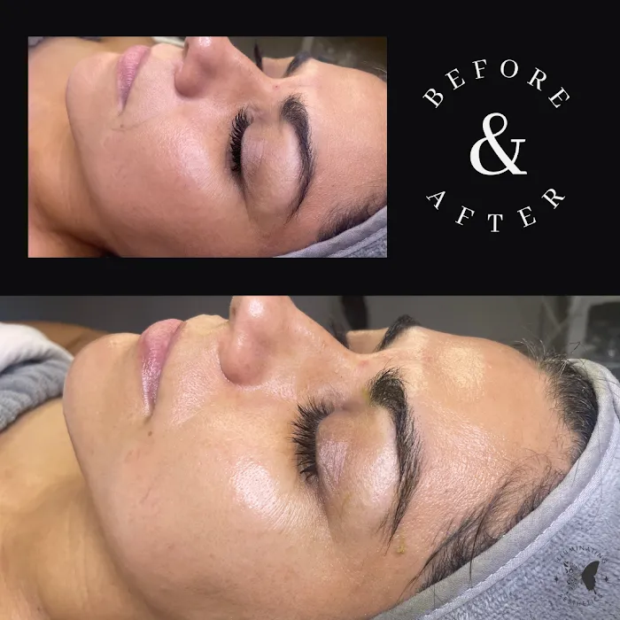 Illuminating Aesthetics Picture 3