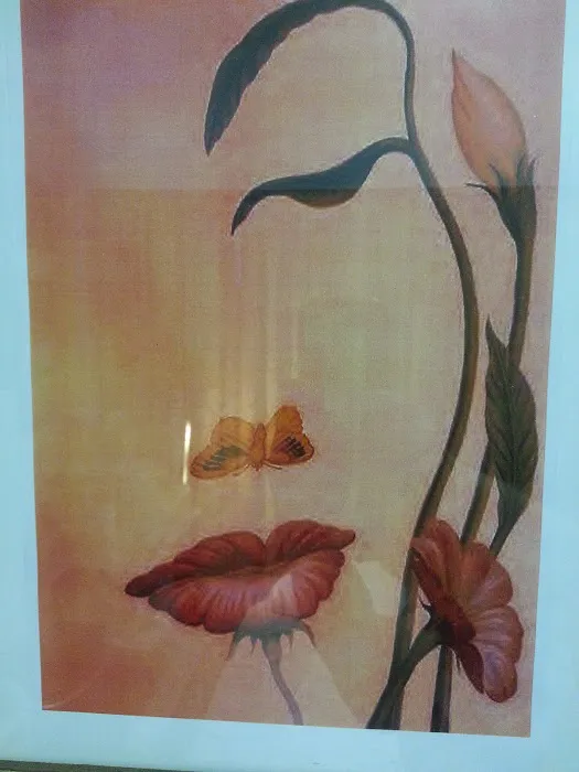 Electrolysis & Skin By Frani Picture 1