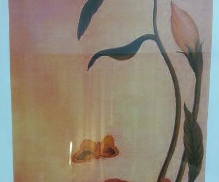 Electrolysis & Skin By Frani