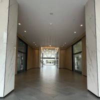 Viva Reverse Aging ico