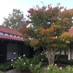 Sage & Spirit Organic Skincare