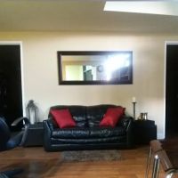 Advanced Aesthetics ico