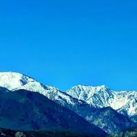 Loma Linda University Sinus and Allergy Center ico