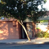 Best Face & Body ico