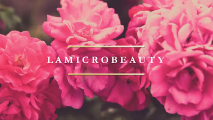 LA Microbeauty Picture 2