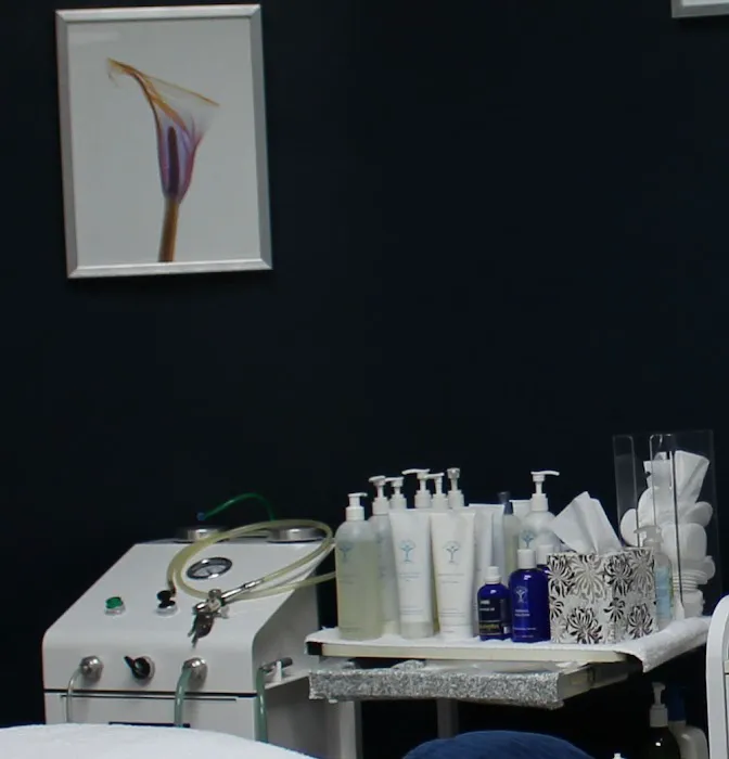 Belladana European Skin Care Picture 2