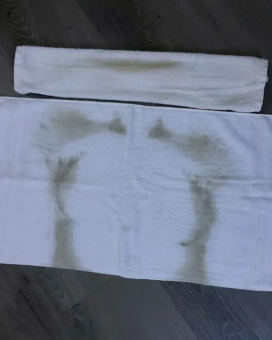 The Skin Effect Picture 4