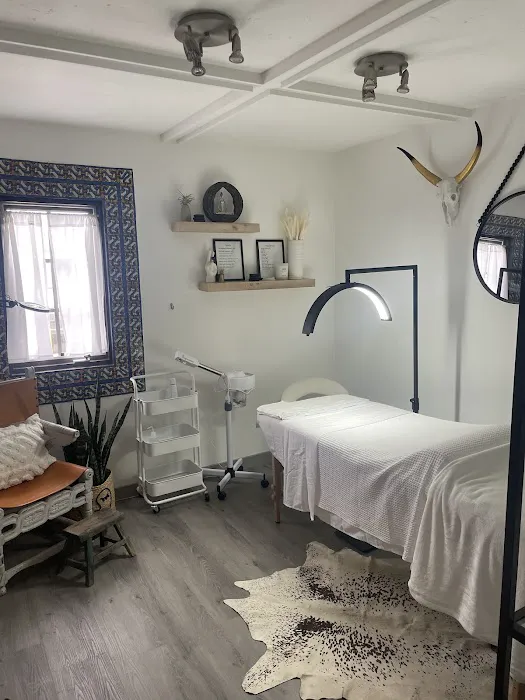 The Skin Effect Picture 2