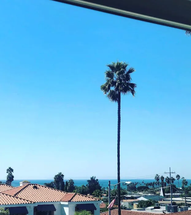 Skin Restore Picture 4