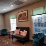 Sea Shells Esthetics