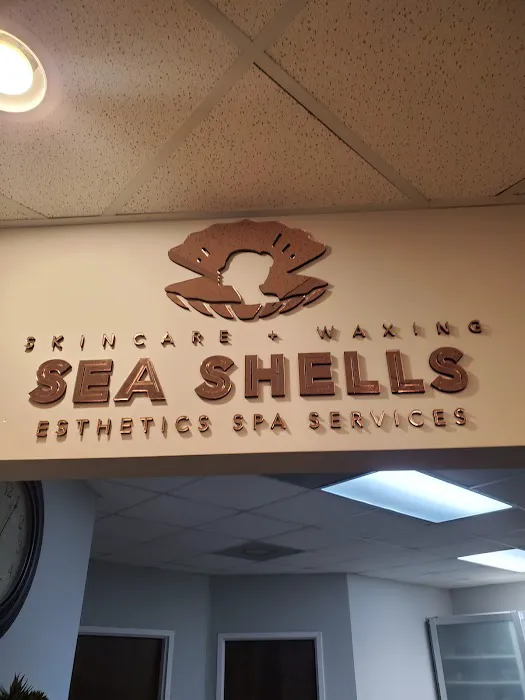 Sea Shells Esthetics Picture 10