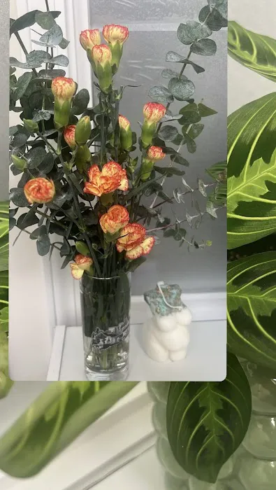 Thrive Esthetics Picture 2