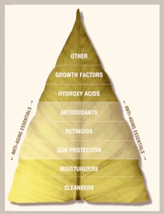 The Beauty and Balance Life Picture 8