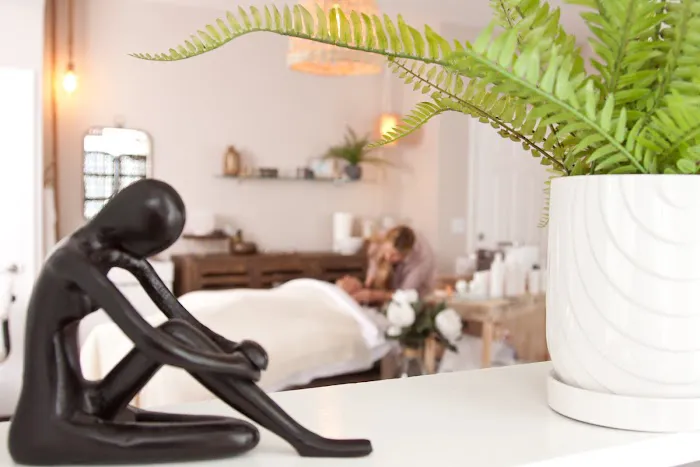 Tosha Smith Advanced Skin Care Picture 5