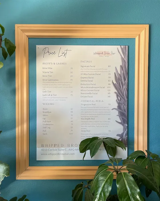 Whipped Brow Bar Picture 7