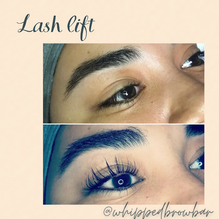 Whipped Brow Bar Picture 10