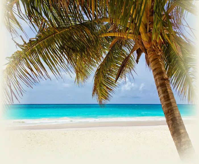 SunCare Spray Tan & Skin Care Salon Picture 1