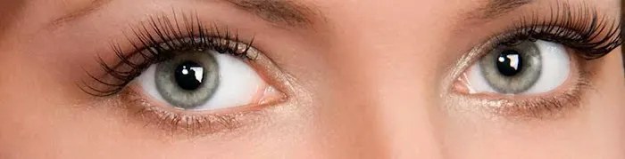 Beauty Secrets Picture 1