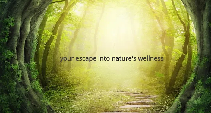 Signature Skin Care ABQ Picture 5