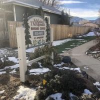 Shear Expressions Skin Care and More ico