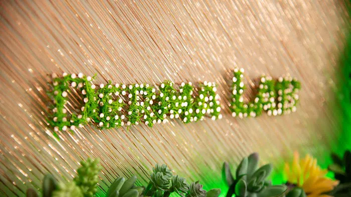 Derma Lab Esthetics Picture 9