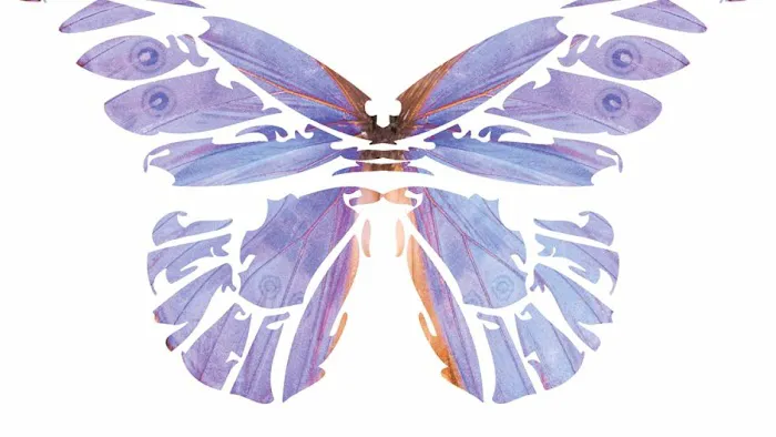 The Colorado Laser Clinic Picture 1