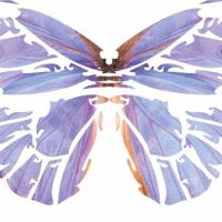 The Colorado Laser Clinic ico