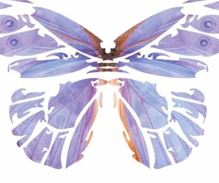 The Colorado Laser Clinic