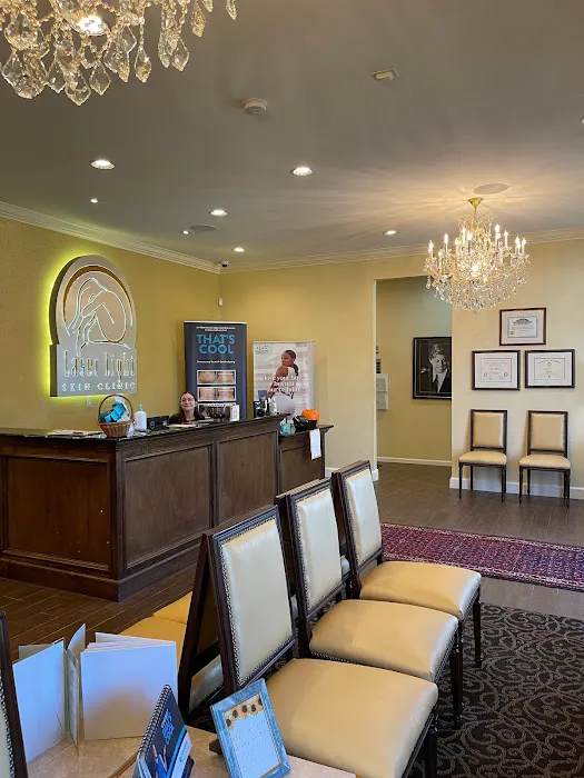 The New Laser Light Picture 1