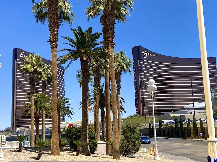 Nuvo International Laser Skin Care Picture 1