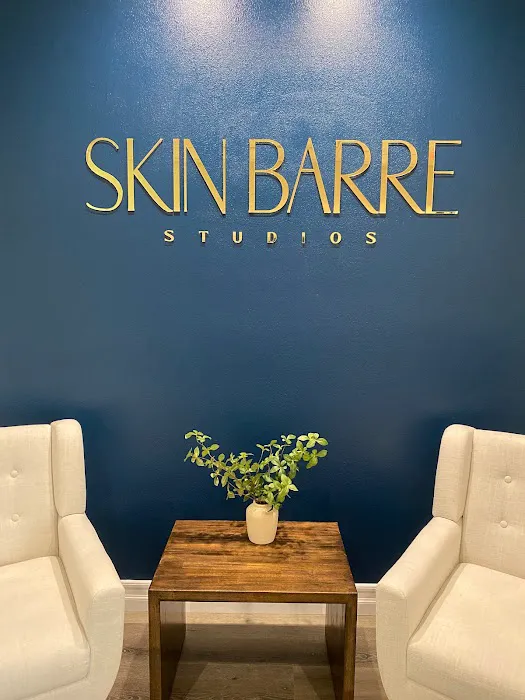 Skin Barre Picture 1
