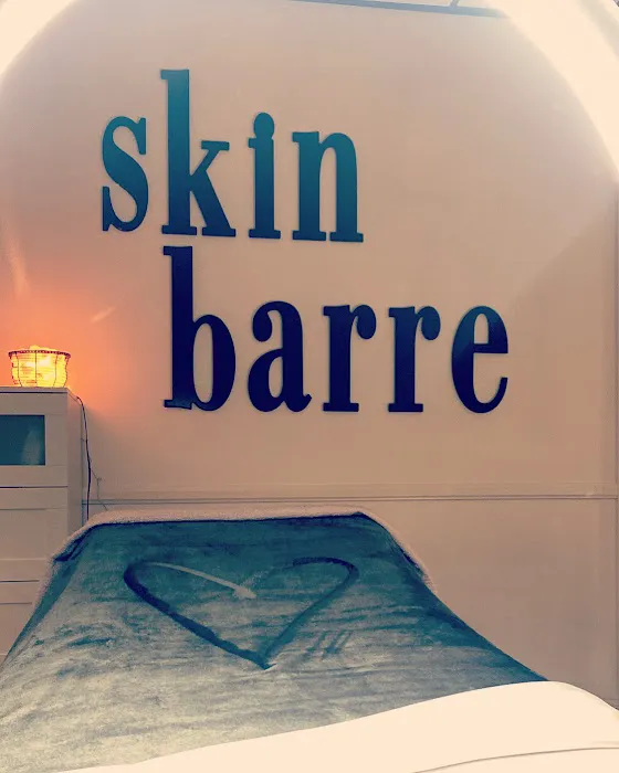 Skin Barre Picture 2