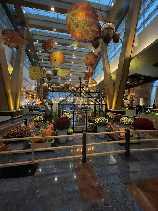 Kreate by Karim Picture 6