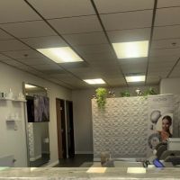 Dollface Aesthetics & Wellness ico