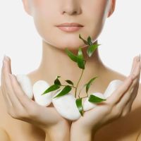 Skin by Dana Lynn ico