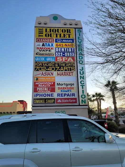 Derma Elite 101 Picture 4