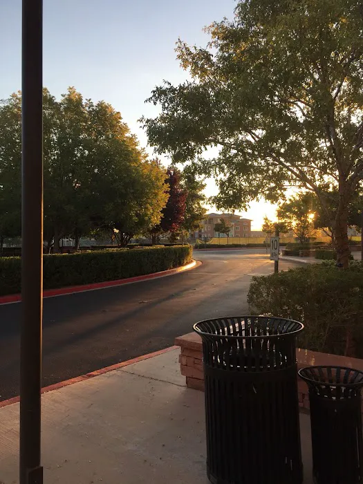 Andrea Minor Skin Care Picture 8