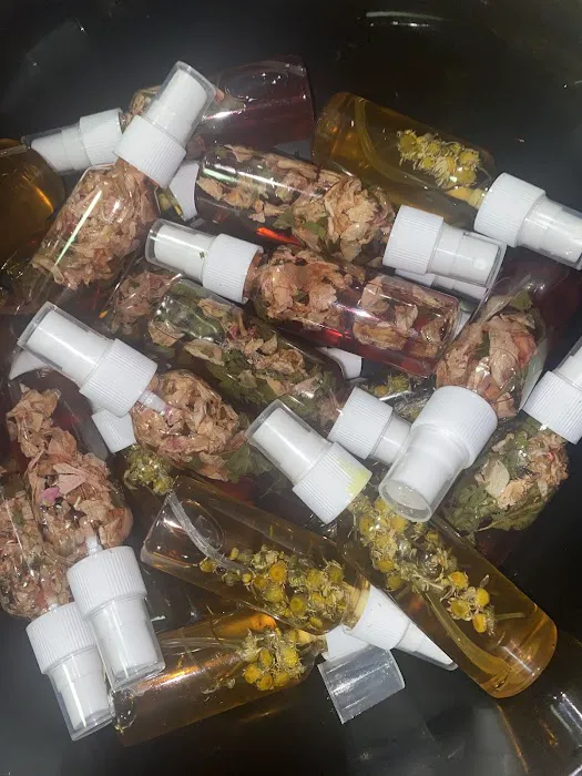 Fun Turtle Beauty Picture 7