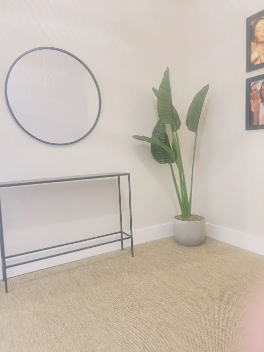 Skin Laundry - Alamo Heights Picture 2