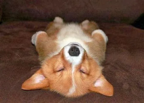 Shanti Skin Studio Picture 1