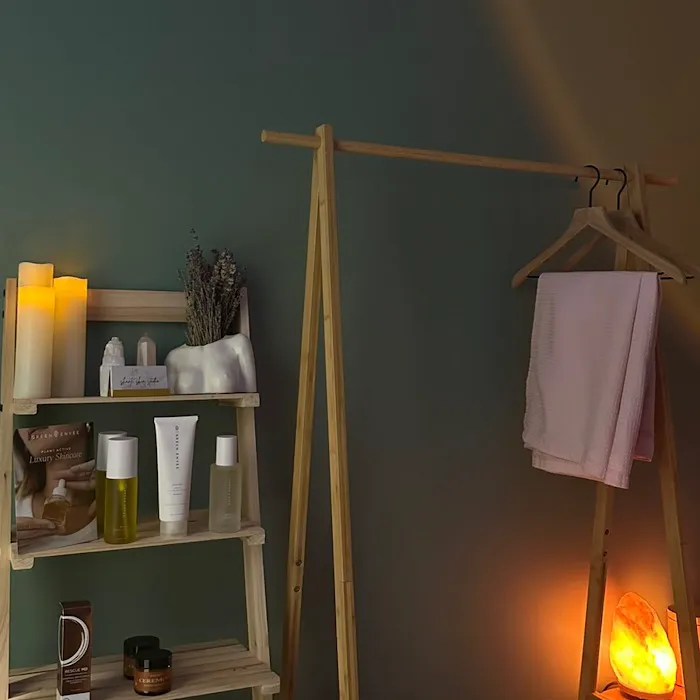 Shanti Skin Studio Picture 4