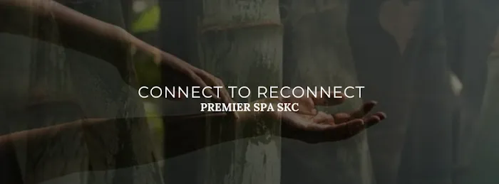 Premier Spa SKC Picture 4