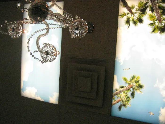 Radiant Skin by Diane Picture 6