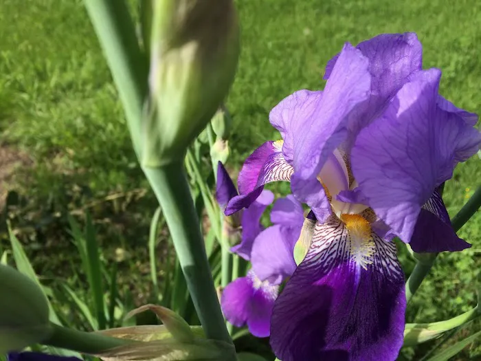 Natural Skin Care Picture 1