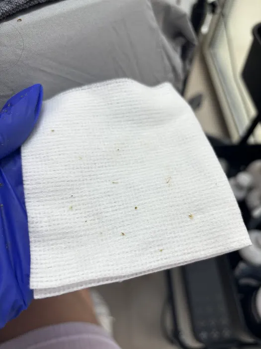 Made Lovely By Leslie Esthetics Picture 8