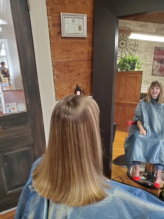 Shole's Hair and Skin Care Picture 6