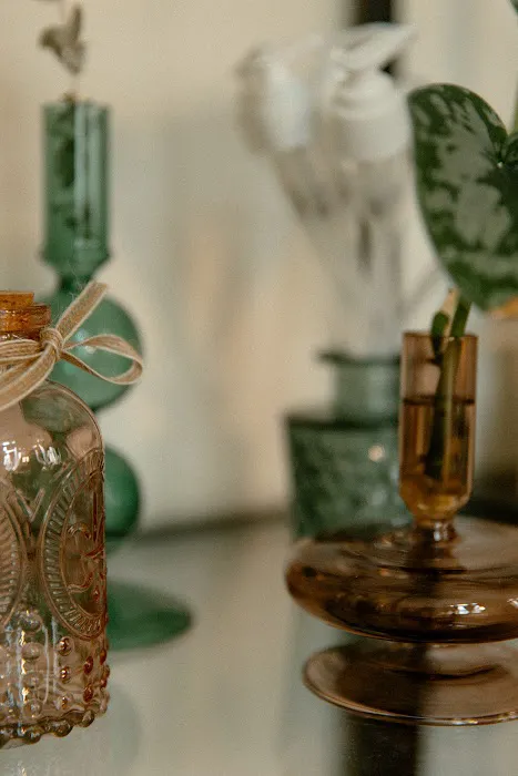 Alchemy Esthetics Picture 5